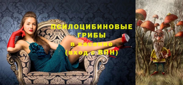 амф Медногорск