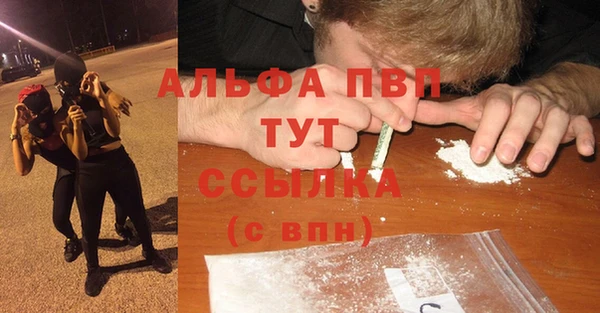 амф Медногорск