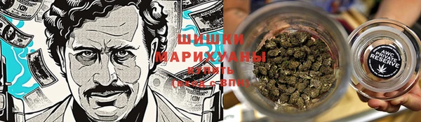 ГАЛЛЮЦИНОГЕННЫЕ ГРИБЫ Медвежьегорск