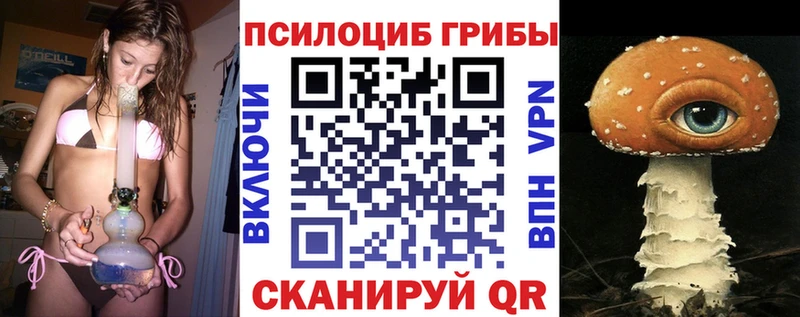 Псилоцибиновые грибы Psilocybine cubensis  Купить закладки  Калининград 